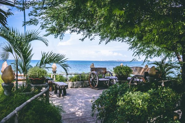 Comment favoriser la biodiversité dans un jardin de bord de mer?